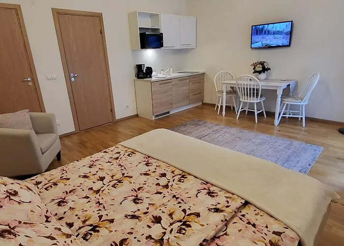 Kuninga 24/2 Old Town * Pärnu